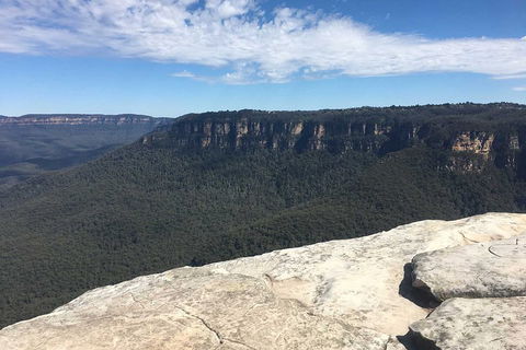 The Explorers' Discovery Tour - Gold, Wine & Wildlife - Accommodation Australia 1