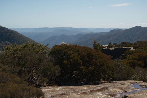 The Explorers' Discovery Tour - Gold, Wine & Wildlife - Accommodation Australia 3