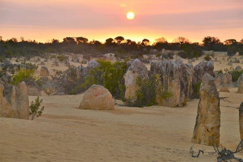 Pinnacle Desert Sunset And Stargazing With Dinner - Local Tourism 5
