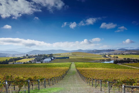 Yarra Valley Wine And Wildlife Self-Driving Tour - Accommodation Australia 1