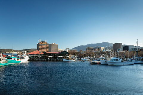 Hobart City Sightseeing Tour Including MONA Admission - Local Tourism 0