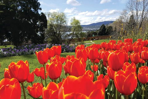 Hobart City Sightseeing Tour Including MONA Admission - Local Tourism 4