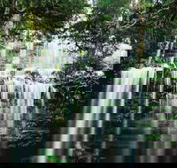 Mt Field National Park and Russell Falls from Hobart - Accommodation Australia