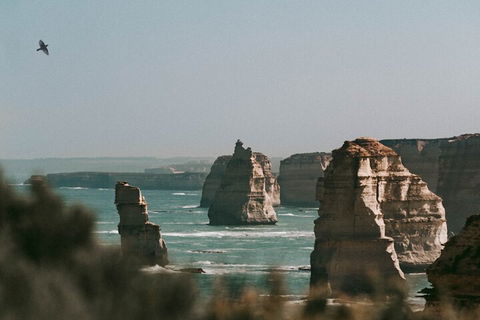 Half-Day Or Full-Day Tour With Private Guide From Melbourne - Local Tourism 0