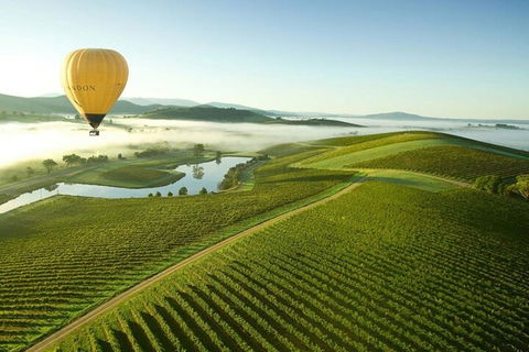 Half-Day Or Full-Day Tour With Private Guide From Melbourne - Local Tourism 4