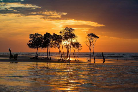 Delightful Darwin Self-Guided Audio Tour - Accommodation Australia 3