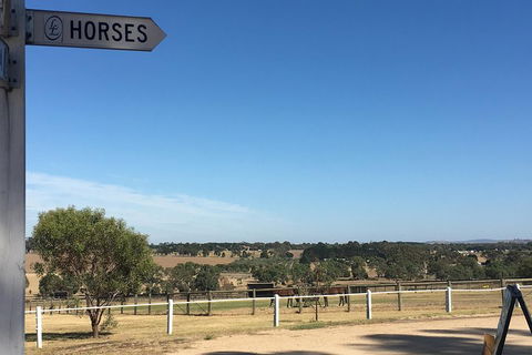 Legends & Champions Tour - Accommodation Australia 5