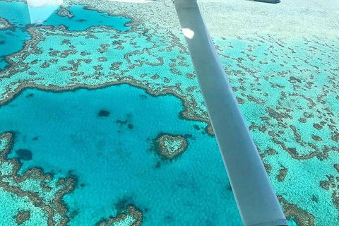 Whitsunday Islands 1-Hour Reef Scenic Helicopter Tour - Accommodation Australia 3
