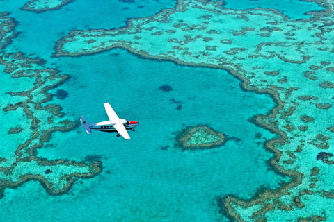 Fly & Sail Package (With Providence) - Local Tourism 4