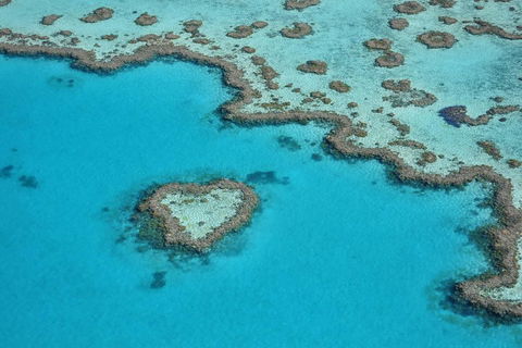 Reef And Island Scenic Flight From Airlie Beach - Accommodation Australia 5