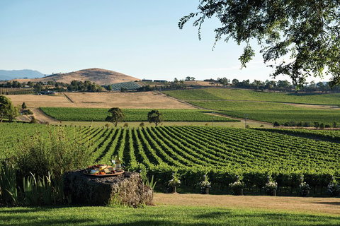 Yarra Valley 2-6 Guests Premium Food And Wine Inc Lunch At Dominique Portet - Accommodation Australia 2
