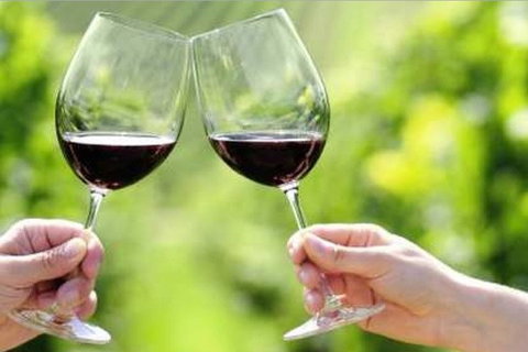 Yarra Valley Premium Tour Inc Lunch And Cheese And Wine Pairing At De Bortoli - Accommodation Australia 5