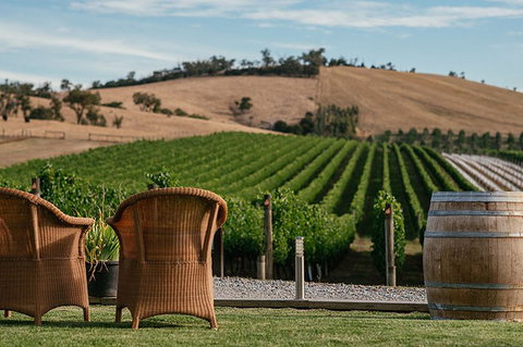 Yarra Valley 2-6 Guests With Lunch And Gin Tasting At Four Pillars - Accommodation Australia 5