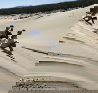 Port Stephens Bush Beach and Sand Dune 4WD Tag-Along Tour - Local Tourism