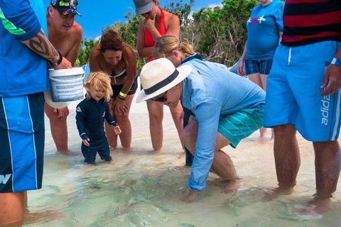 Whitehaven Beach And Hamilton Island Cruise - Accommodation Australia 1