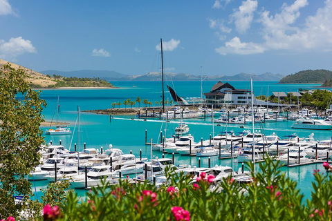 Whitehaven Beach And Hamilton Island Cruise - Accommodation Australia 3
