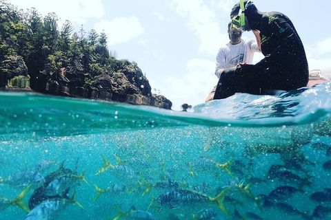 2 Night Small Group Whitsundays Sailing Adventure Aboard Mandrake - Local Tourism 5