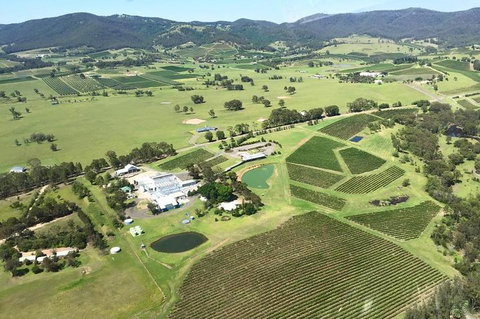 Helicopter Tour Of Hunter Valley In New South Wales With Lunch - Local Tourism 4