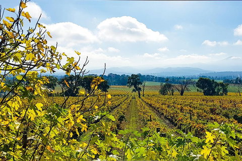 Yarra Valley Wine & Food Tour Departing From Melbourne - Accommodation Australia 4