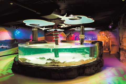 SEA LIFE Melbourne Aquarium Admission Ticket - Local Tourism 5