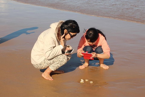 Beach & Dune - Accommodation Australia 2