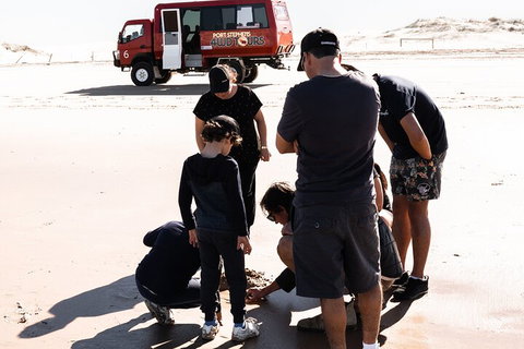 Beach & Dune - Accommodation Australia 3