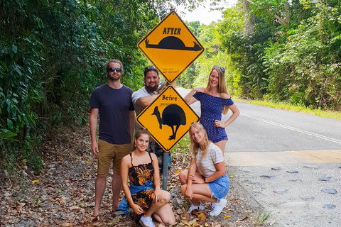 Cape Tribulation, Daintree Rainforest And Wildlife Tour - Local Tourism 0