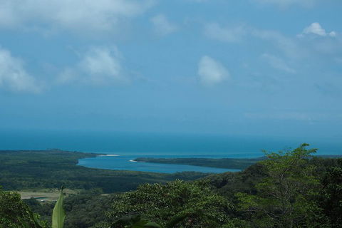 Cape Tribulation, Daintree Rainforest And Wildlife Tour - Local Tourism 1