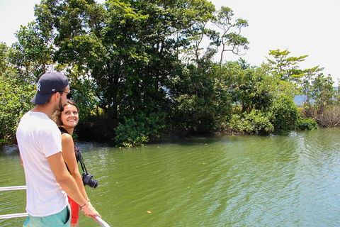 Cape Tribulation, Daintree Rainforest And Wildlife Tour - Local Tourism 2