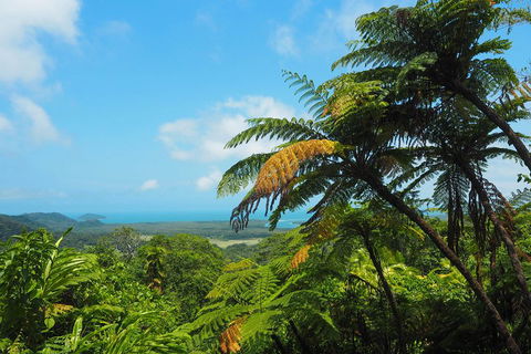 Cape Tribulation, Daintree Rainforest And Wildlife Tour - Local Tourism 3