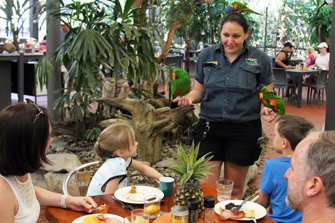 Wildlife Habitat Port Douglas - Accommodation Australia 2
