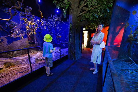 Wildlife Habitat Port Douglas - Accommodation Australia 4