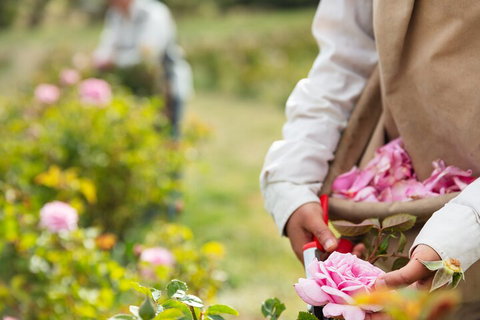 3 Days Adelaide Hills Wellness Escape - Accommodation Australia 3