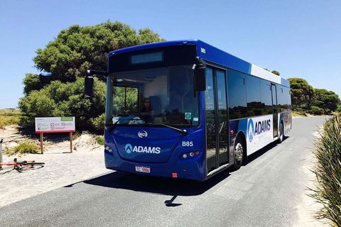 Rottnest Bayseeker Bus Tour From Hillarys Boat Harbour - Accommodation Australia 0