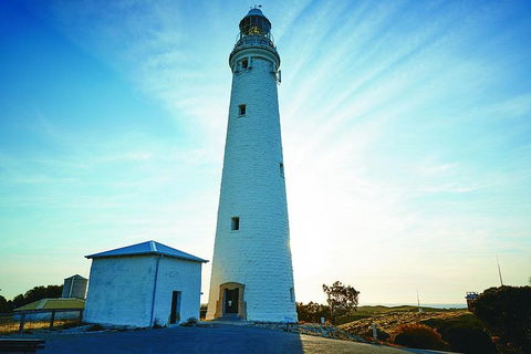 Rottnest Bayseeker Bus Tour From Hillarys Boat Harbour - Accommodation Australia 2