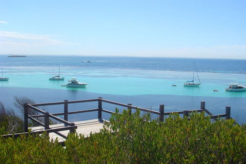 Rottnest Bayseeker Bus Tour From Hillarys Boat Harbour - Accommodation Australia 3