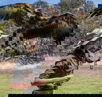 One Day Kangaroo Island Sip  See tour with return ferry transfers from Adelaide - Local Tourism