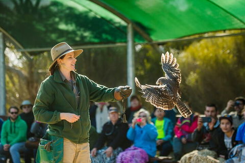 One Day Kangaroo Island Sip & See Tour With Return Ferry Transfers From Adelaide - Local Tourism 3