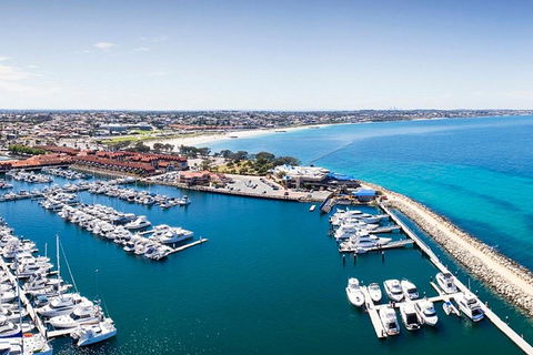Snorkel With Sharks At AQWA - Accommodation Australia 3