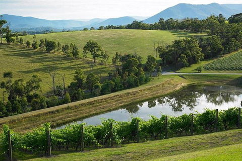 CHEVY CONVERTIBLE Package For 2 People- Wine Lunch Cheese & Chocolate From Melb. - Local Tourism 0