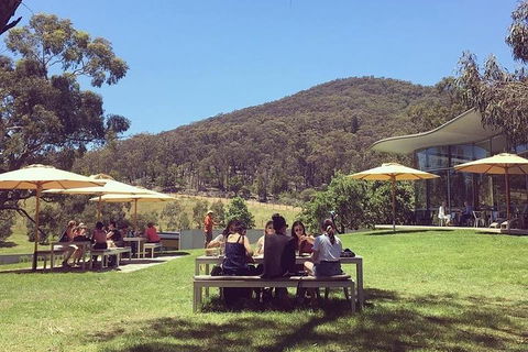 CHEVY CONVERTIBLE Package For 2 People- Wine Lunch Cheese & Chocolate From Melb. - Local Tourism 5