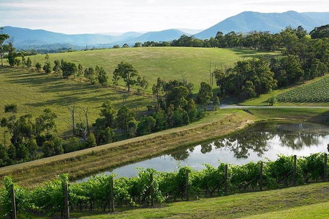 Yarra Valley Wine And Cider Tours By Classic Convertibles From Melbourne - Accommodation Australia 1