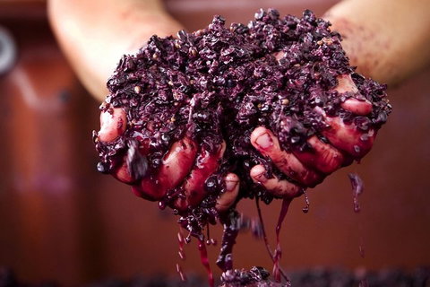 Yarra Valley Wine And Cider Tours By Classic Convertibles From Melbourne - Accommodation Australia 2