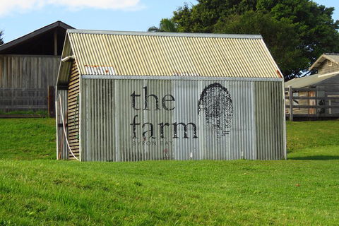 3-Hour Small-Group Byron Bay Tour - Accommodation Australia 3