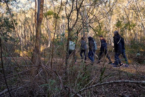 Wild Australian Wildlife 4WD Tour From Sydney - Accommodation Australia 0