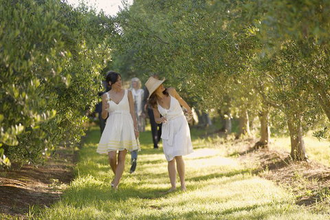 Yarra Valley Wine Tour With Local Harvest Tastings From Melbourne - Accommodation Australia 0
