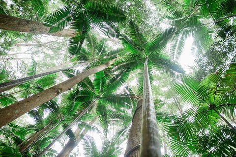 Fraser Explorer K'gari 2-Day Tour - Accommodation Australia 2