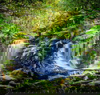 Day Tour in Mt. Field Mt. Wellington Bonorong Wildlife Sanctuary and Richmond - Accommodation Australia