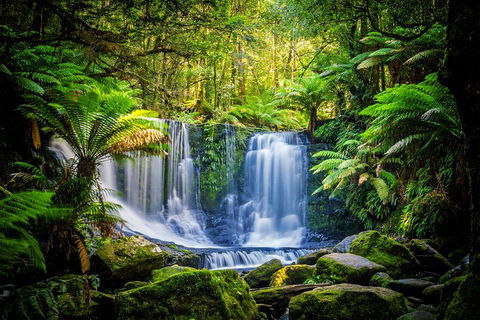 Day Tour In Mt. Field, Mt. Wellington, Bonorong Wildlife Sanctuary And Richmond - Accommodation Australia 0