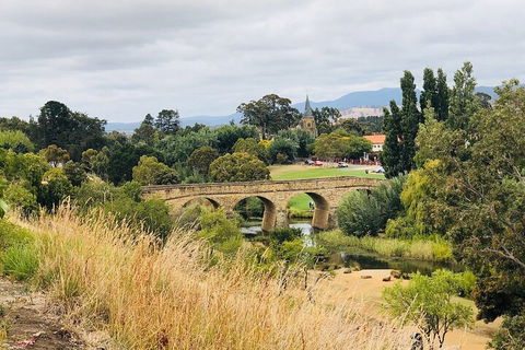 Day Tour In Mt. Field, Mt. Wellington, Bonorong Wildlife Sanctuary And Richmond - Accommodation Australia 3
